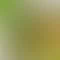 vegetable broth