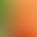 Carrots