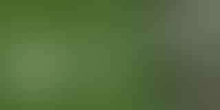 Discover McDonald's Vegan Menu - Test Your Vegan Knowledge